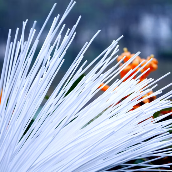 Suntar PVDF 중공 섬유 가압식 UF 멤브레인 필터 외부